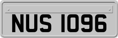 NUS1096