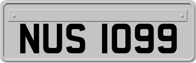 NUS1099