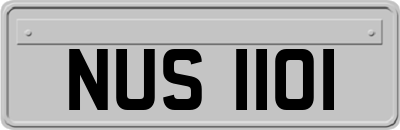 NUS1101