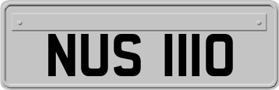 NUS1110