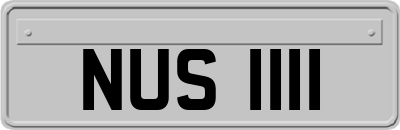 NUS1111