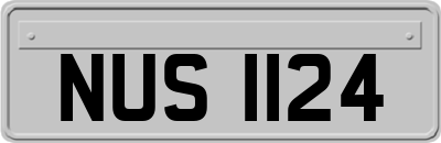 NUS1124