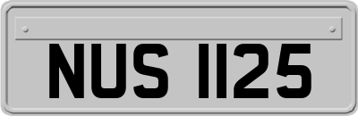 NUS1125