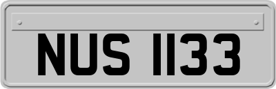NUS1133