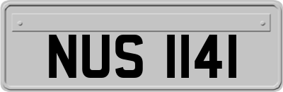 NUS1141