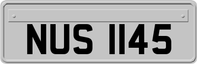 NUS1145