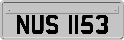 NUS1153