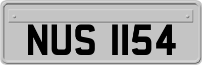 NUS1154