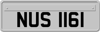 NUS1161