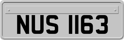 NUS1163