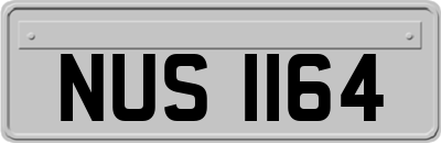 NUS1164