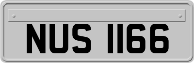 NUS1166