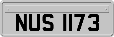 NUS1173