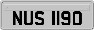 NUS1190