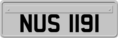 NUS1191