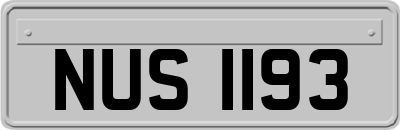 NUS1193