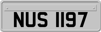 NUS1197