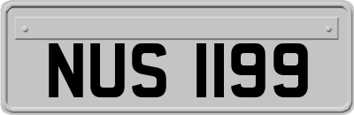 NUS1199