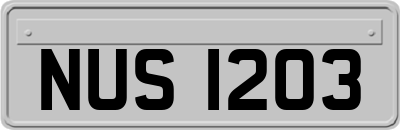 NUS1203