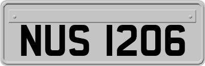 NUS1206