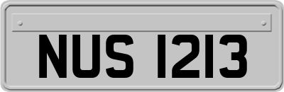NUS1213