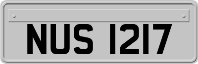 NUS1217