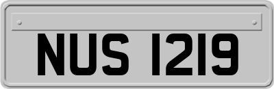 NUS1219