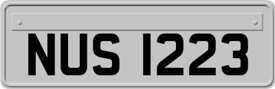 NUS1223