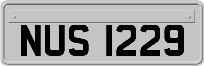 NUS1229