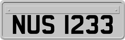 NUS1233