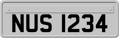 NUS1234