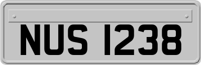 NUS1238