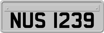NUS1239
