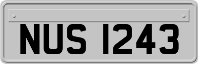 NUS1243