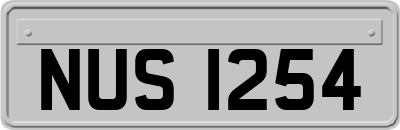 NUS1254
