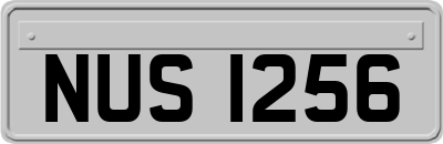 NUS1256