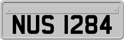 NUS1284