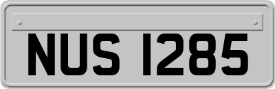 NUS1285