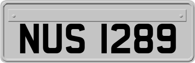 NUS1289
