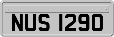 NUS1290