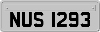 NUS1293