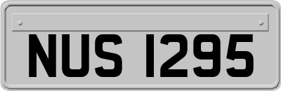 NUS1295