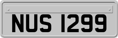NUS1299