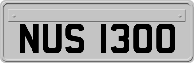 NUS1300