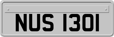 NUS1301