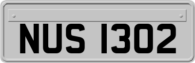 NUS1302