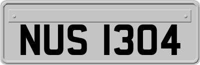 NUS1304