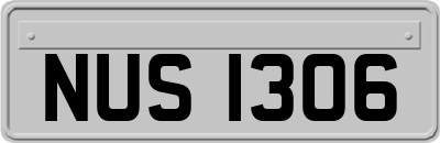 NUS1306