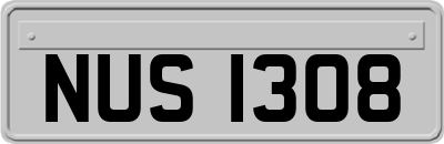 NUS1308