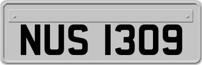 NUS1309